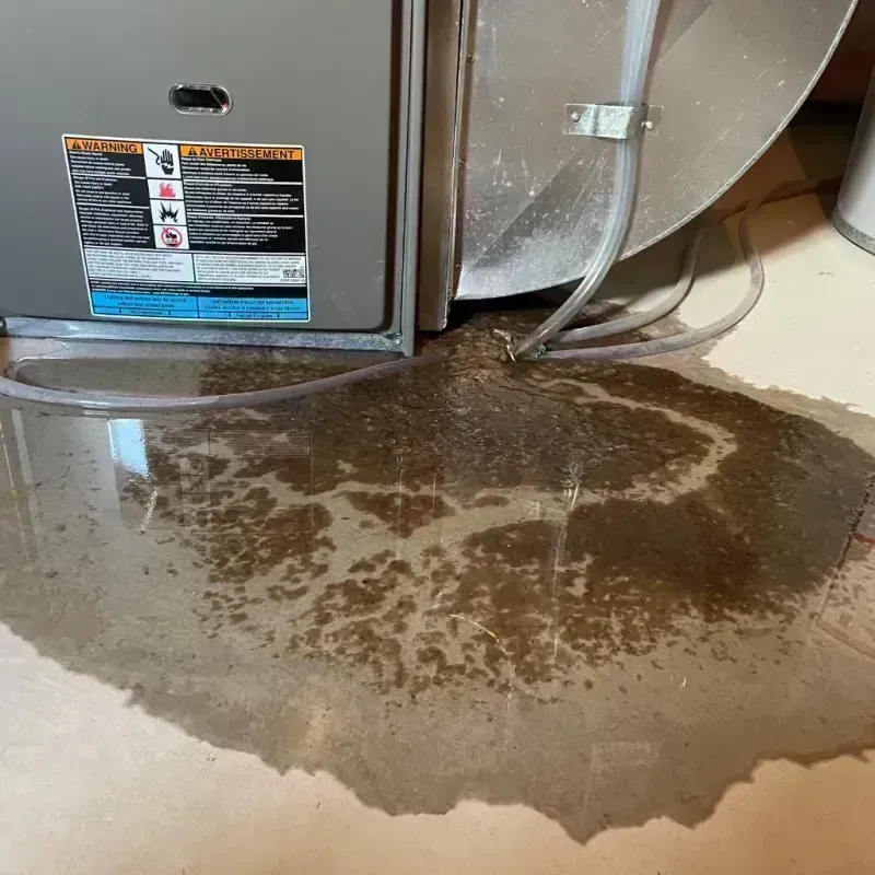 Appliance Leak Cleanup in Nassau County, FL